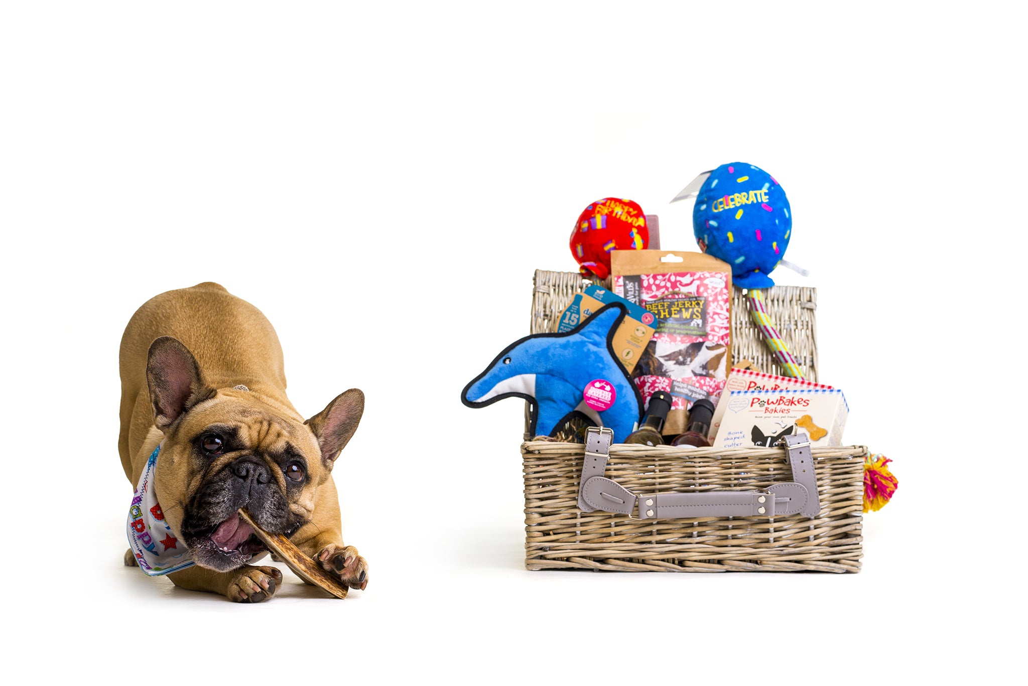 The Birthday Box for Dogs – The Woof Club1