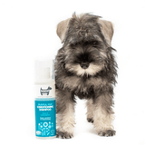 Conditioning Shampoo for Puppies