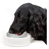 Hygienic Bowl for Dogs