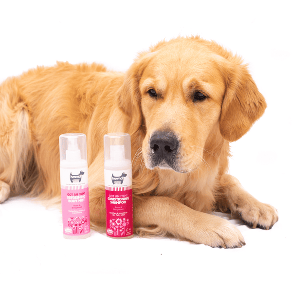 Soothing Spray for Dogs