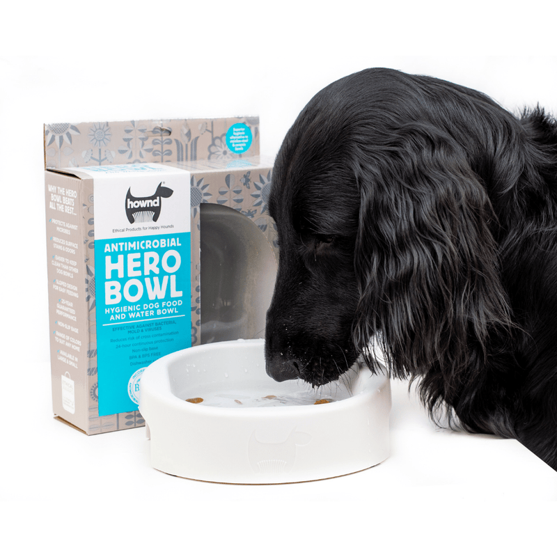 Antimicrobial dog online water bowl