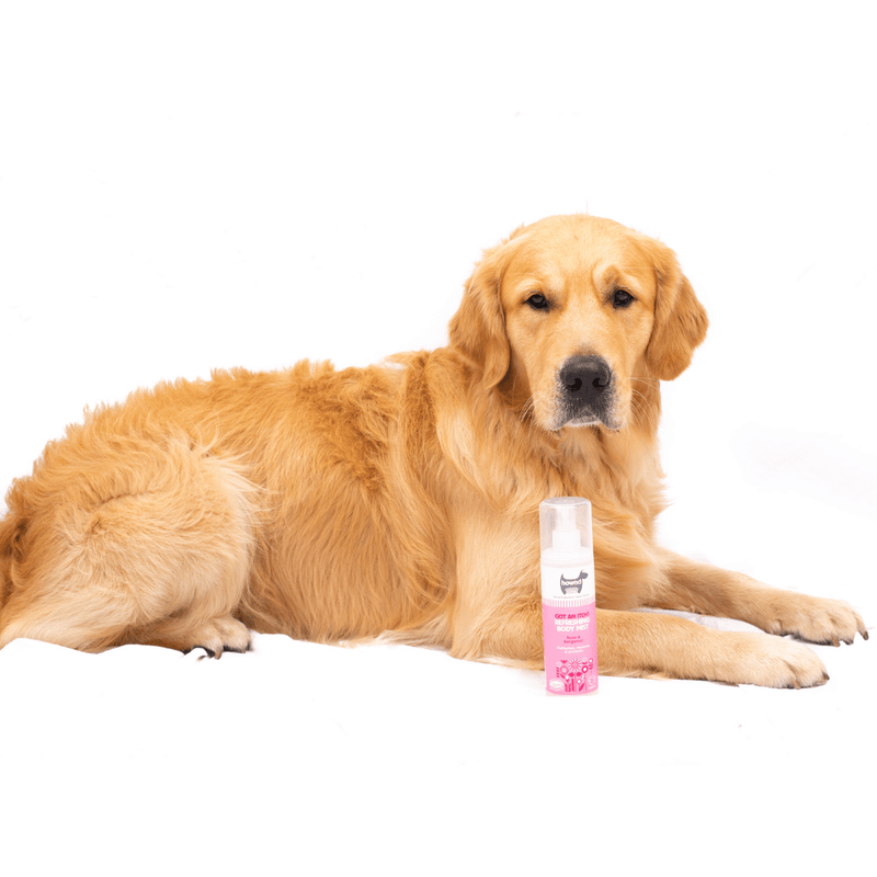 Soothing Spray for Dogs