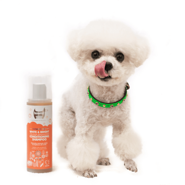 Colour Enhancing Shampoo for Dogs