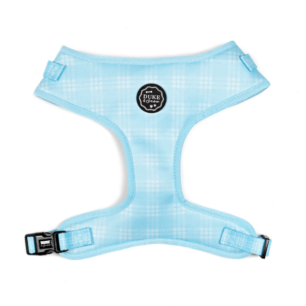 Baby blue outlet dog harness