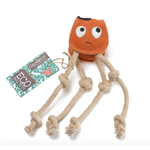 Eco-Toy Candice Carrot for Dogs – The Woof Club